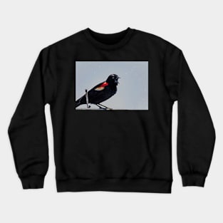 Black Bird Black Bird Are You Calling Me Crewneck Sweatshirt